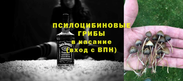 mdpv Надым