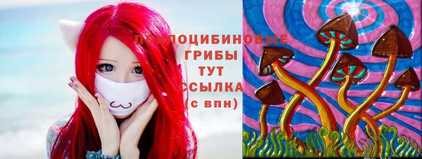 соль ск Нея