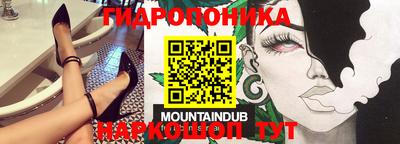 индика Аргун