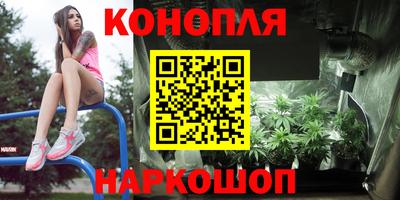 прущая мука Гай