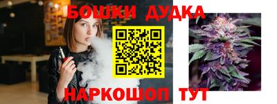 индика Аргун