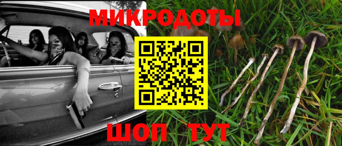 Галлюциногенные грибы Cubensis Белгород