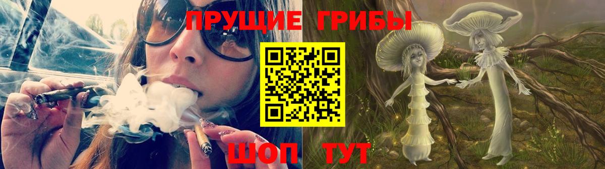 Псилоцибиновые грибы мицелий  Псилоцибиновые грибы мицелий  Белгород 