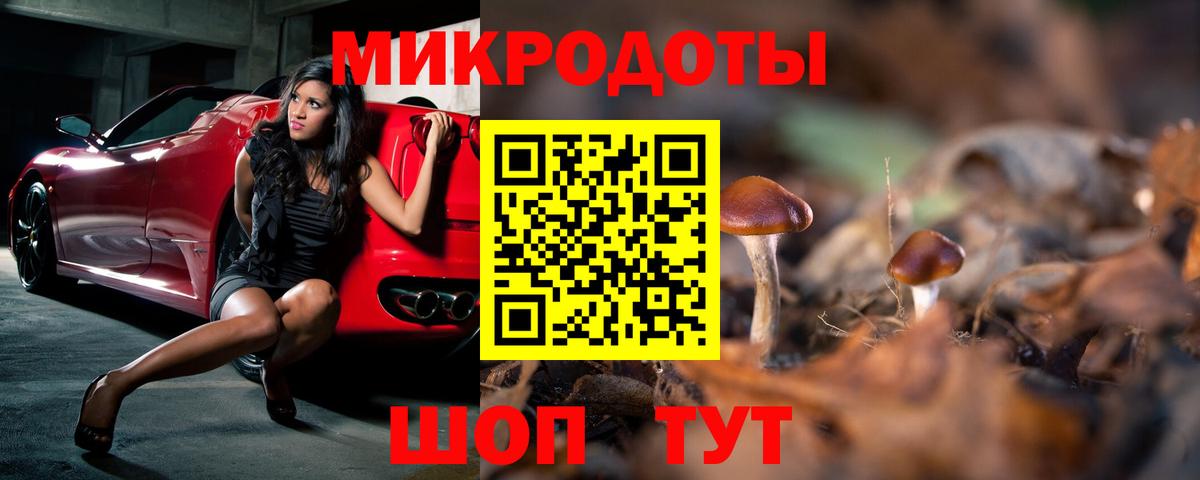 Белгород  Галлюциногенные грибы Cubensis  Вход с VPN 